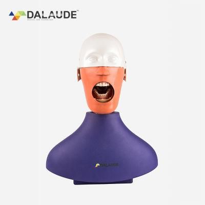 Dental Manikin Dental Training Simulator with Phamtom Head