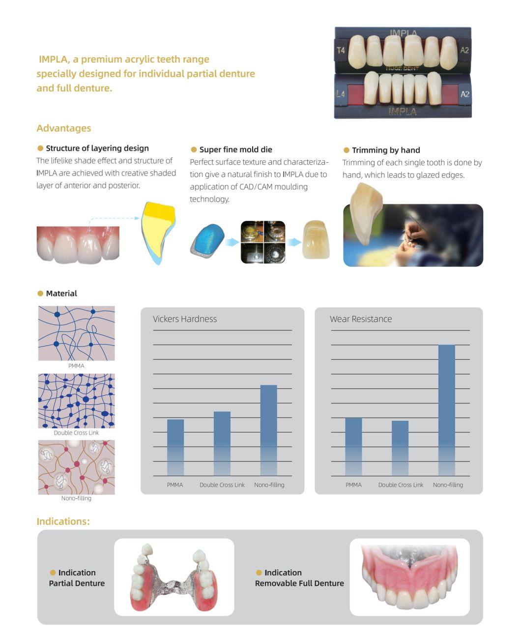 High Quality Five Layers Impla Shandong Huge Full and Removable Implant-Support Full Denture Acrylic Resin Practical False Teeth