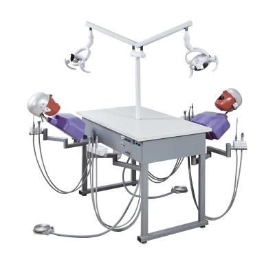 2 Students Dental Phantom Manual Simulation Four Handed Operation