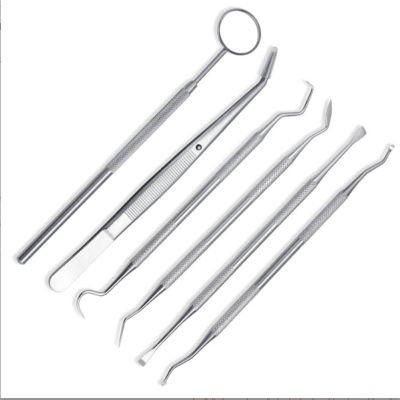 Stainless Steel Dentist Tool Set 6 Piece Dental Mirror