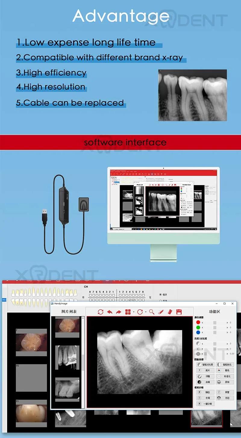 Chinese Dental X-ray Sensor Intraoral Imaging Dentist Equipment