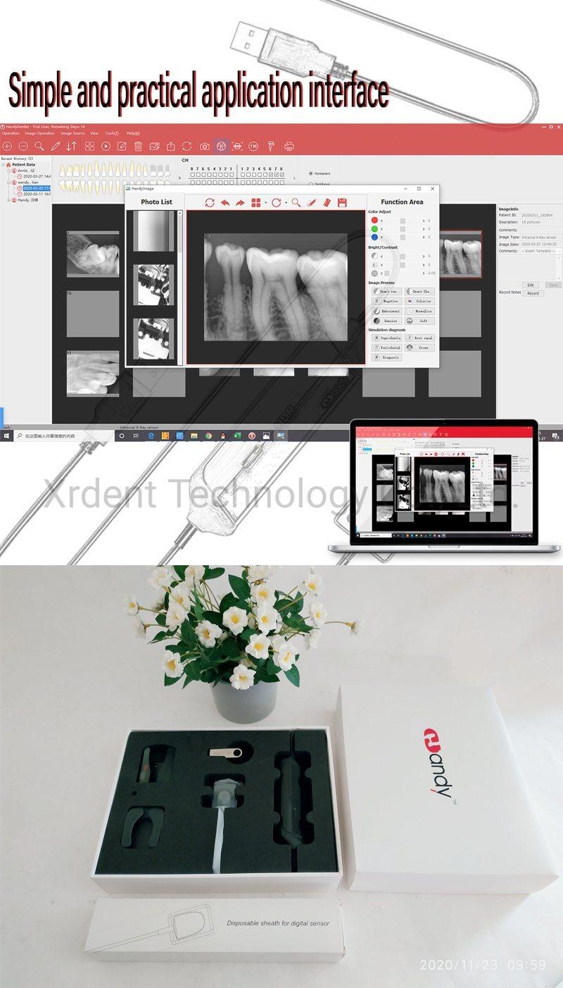 Handy Digital Sensor Dental X-ray Sensor X-ray Imaging System