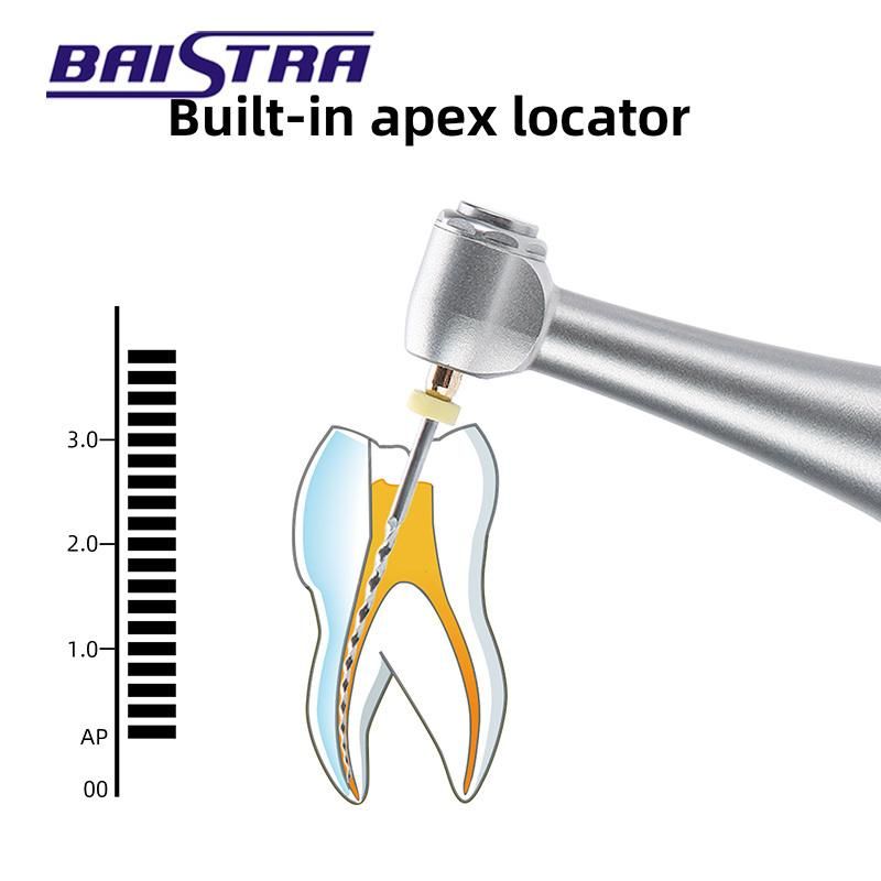 Dental Endodontic Wireless Endo Rotary Motor with Build-in Dental Apex Locator