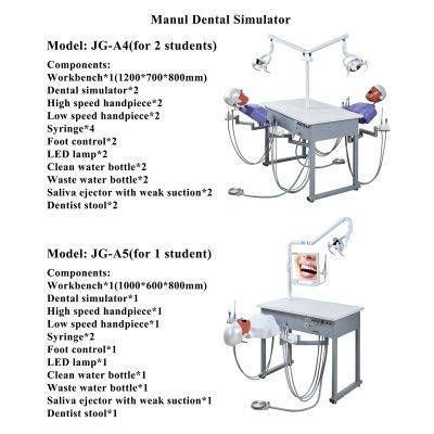 Double Manual Phantom Head Training System Simulator for Dental Loboratory