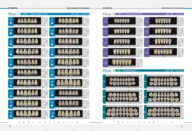 Dental Acrylic Resin Teeth Artificial Teeth