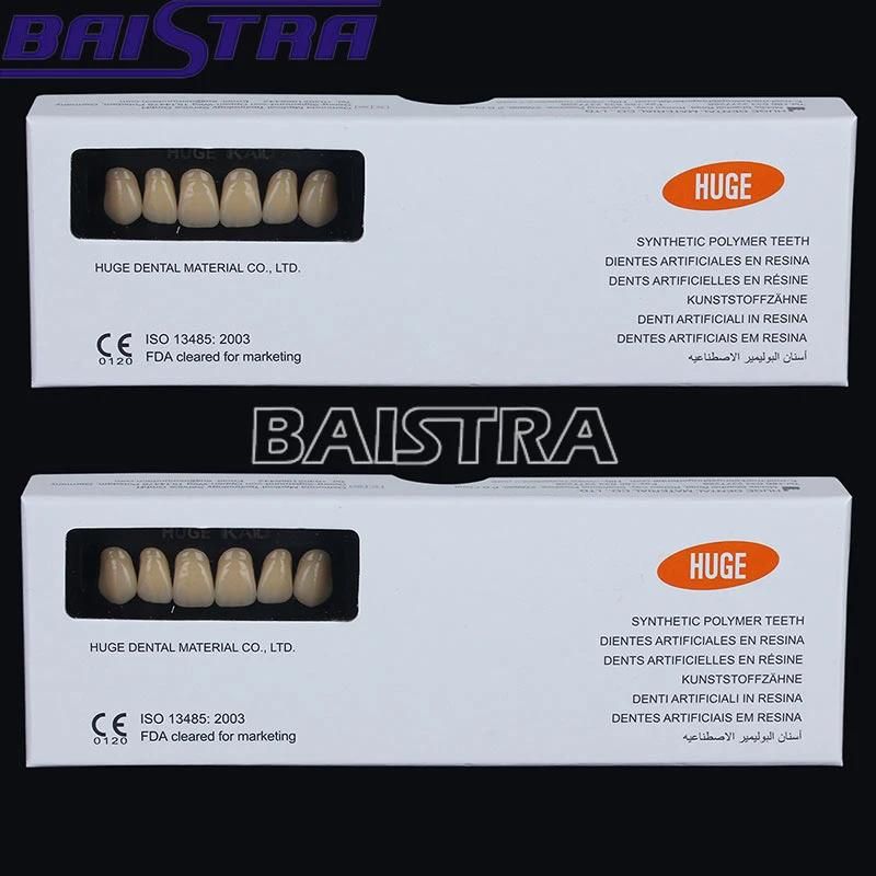 Top Quality Dental Synthetic Polymer Teeth Resin Denture for Sale