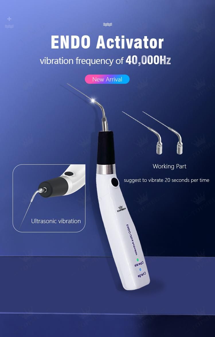 Dental Implant Multifunctional Dental Endo Ultrasonic Activator with Low Price