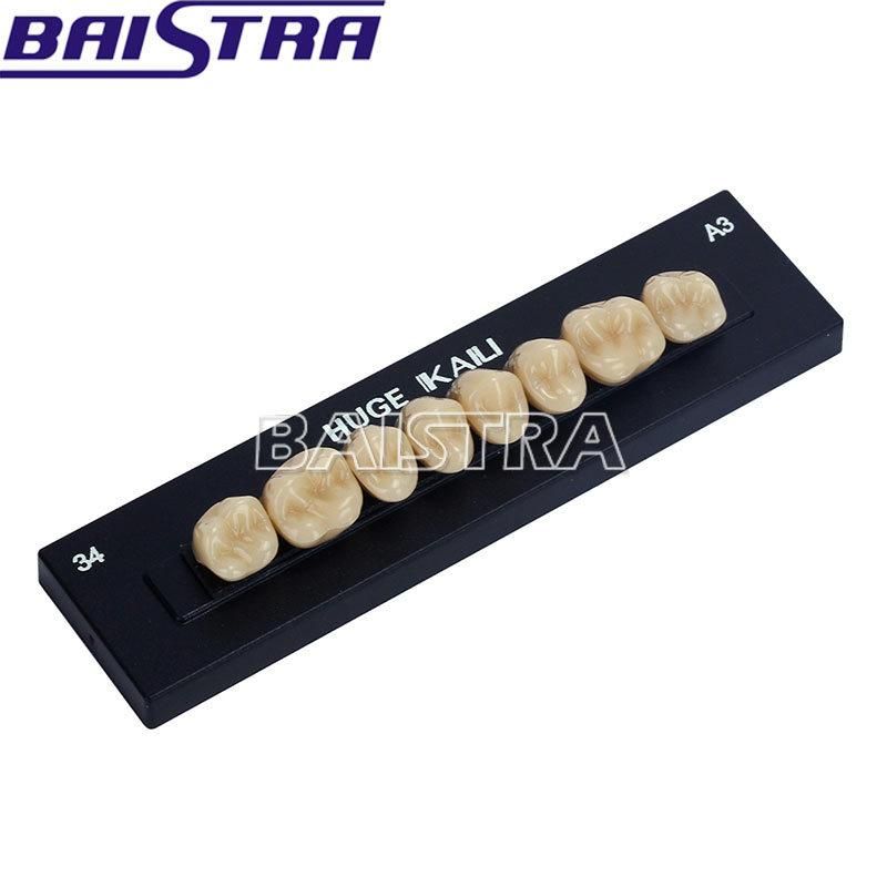 Dental Synthetic Polymer Resin Teeth