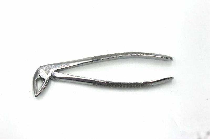 10PCS Oral Dental Surgery Instruments Kit Extracting Elevators Forceps