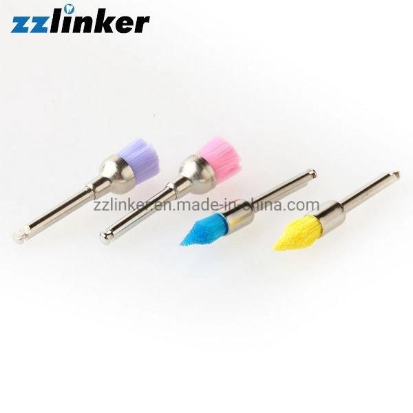 Lk-P21-2 Dental Lab Assorted Brushes Polishing Wheels Tool