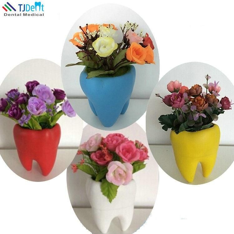 Dental Clinic Decoration Tooth Shape Flower Pot Flower Vase