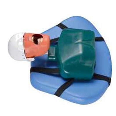 Simulator Phantom Head Attach on Dental Unit with Backrest