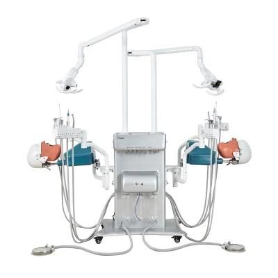 Medical Studental Training Dental Phantom Manikin Head