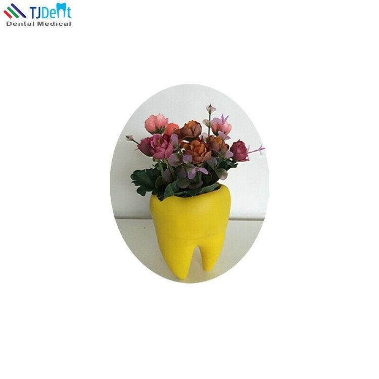 Dental Clinic Decoration Tooth Shape Flower Pot Flower Vase