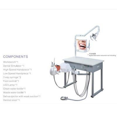 Training Model Phantom Head Dental Simulation Unit Simulator