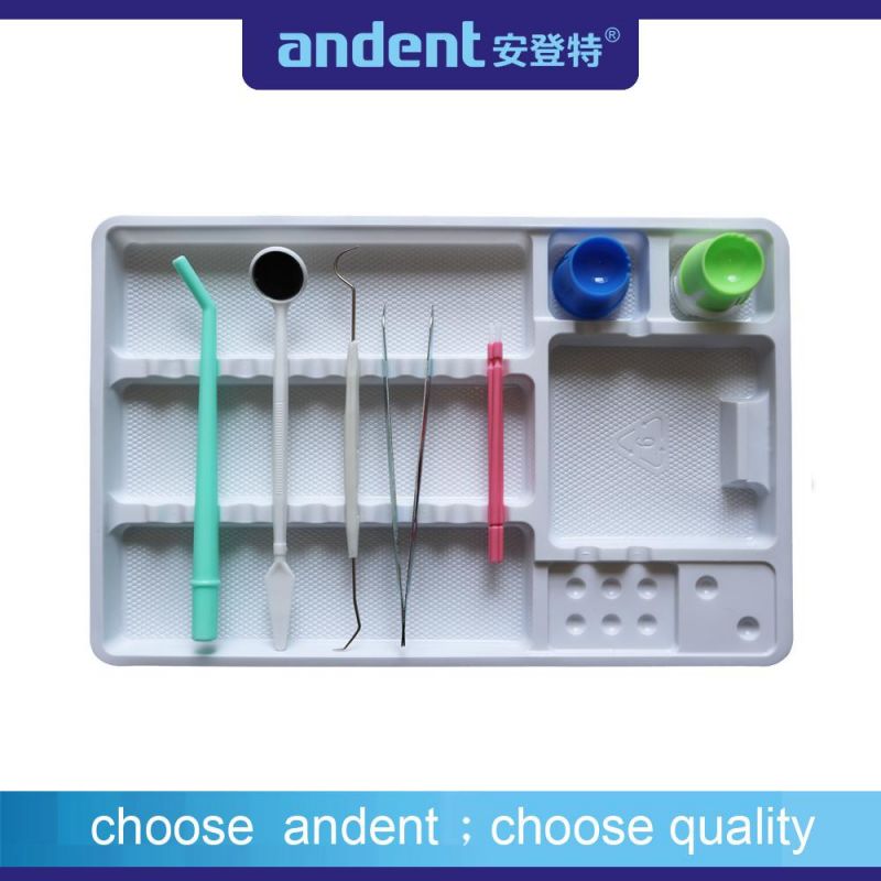 Dental Set-up Plastic Instrument Tray Autoclavable Divided Tray