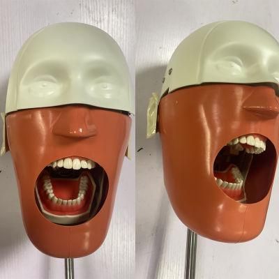 China CE ISO Tender Medical Dental Manikin Simulation Unit