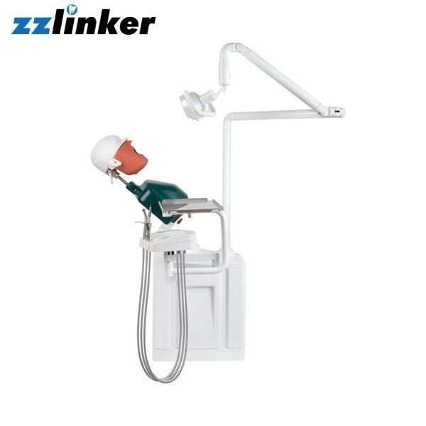 Lk-OS21 Dental Manikin Practice Head Mould with Body Price