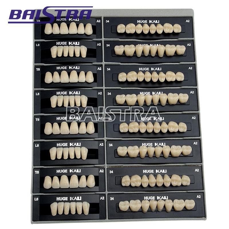 Dental Synthetic Polymer Teeth Resin Denture A2