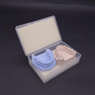 Denture Transportation Box with CE