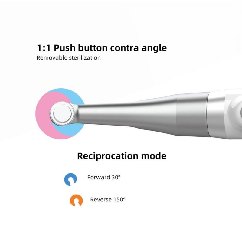 Dental Wireless Endo Motor for Root Canal with LCD Screen