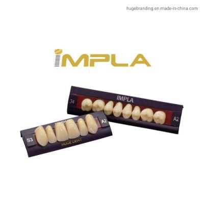 Huge Impla Cheaper Price Dental Synthetic Teeth