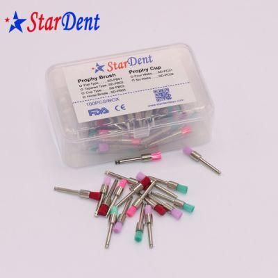 Dental Materials Supplier Dental Polishing Cup Prophy Brush