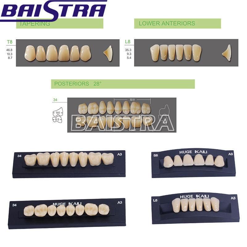 Dental Synthetic Polymer Resin Teeth