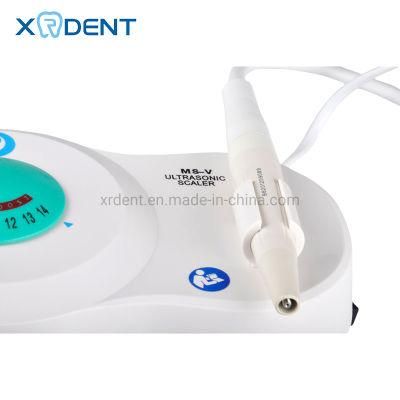 Good Quality Cheap Ultrasonic Scaler Detachable Handpiece Dental Instrument Teeth Ultrasonic Scaler