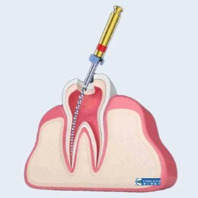 OEM Dental Endodontic Root Canal Files