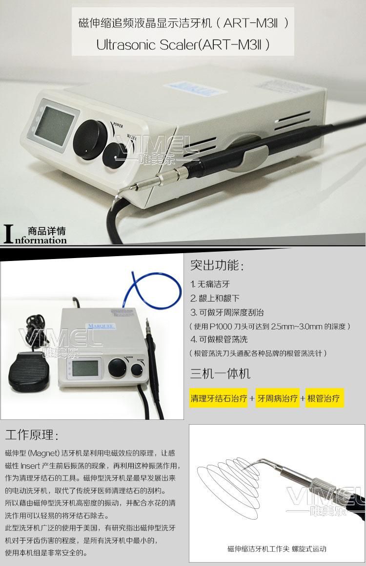 Dental Clinic Equipment Marquee (ART-M3II) Magnet Ultrasonic Scaler