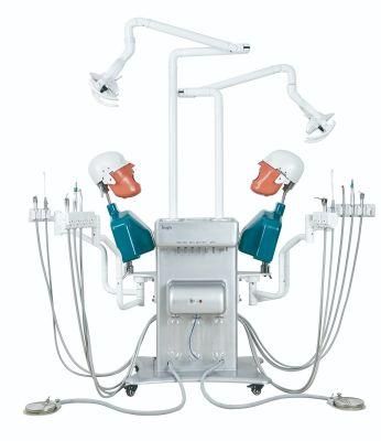 Stomatology Manikin Dental Phantom Head Oral Simulator for Training Practice