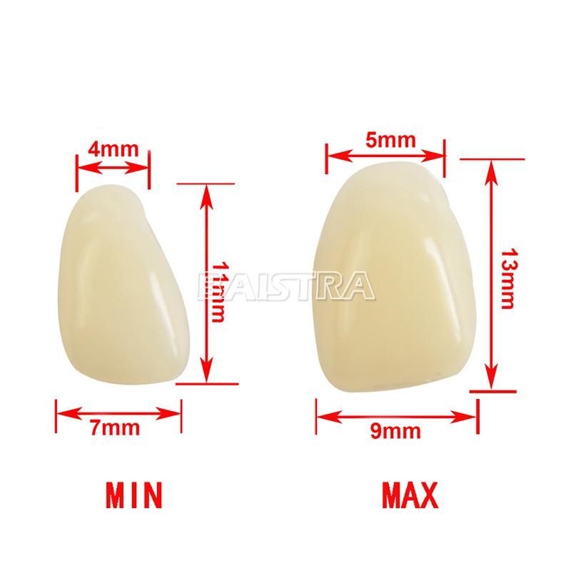 Multi-Layer Veneers Resin Teeth of Dental Material