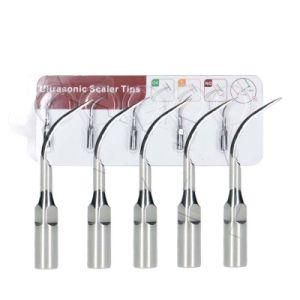 Dental Scaling Tip Ultrasonic Scaler Perio of Dental Equipment