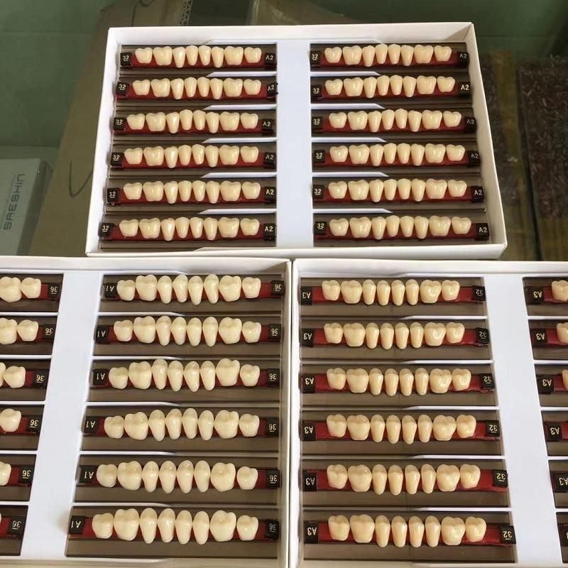 Synthetic Resin Teeth of Dental Material