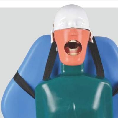 Simulated Body Attach on Dental Unit Chair Simulator with Belt