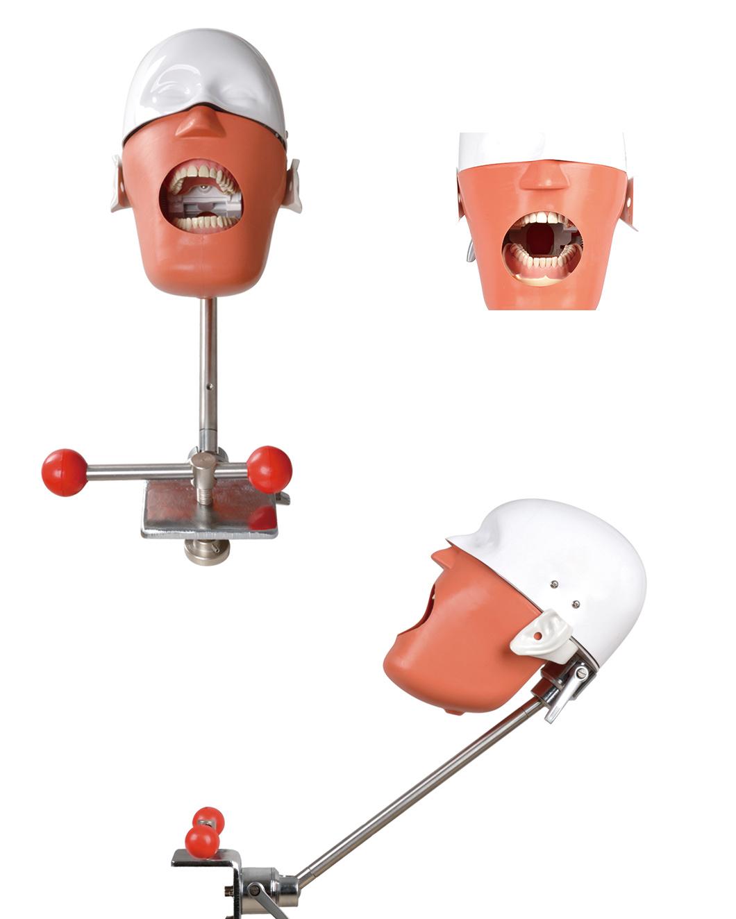 Da-C5 Dental Simulation Phantom Head for Clinical with Clamp