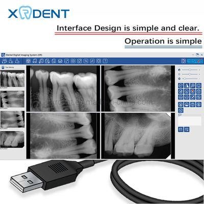 Good Quality Dental X Ray Sensor CE Approved Dental Equipment Dental Unit