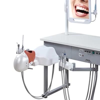 Manual Student Training Practice Dental Phantom Head Simulator