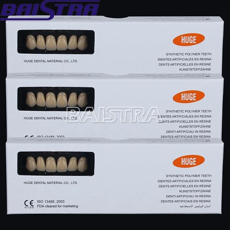 Top Quality Dental Synthetic Polymer Teeth Resin Denture for Sale