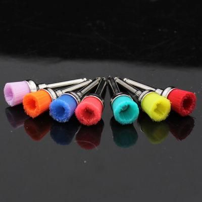 Colorful Nylon Head Bristle Brush Dental Polishing