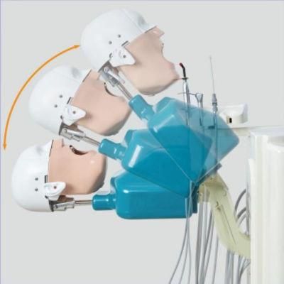 Laboratory Simulation Teaching Device Dental Movable Simulator for Sigle Use