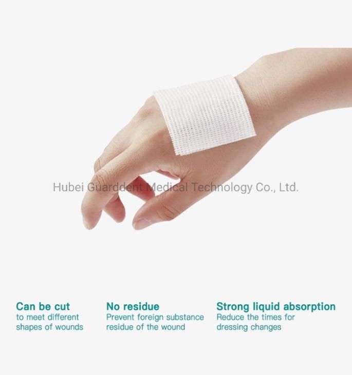 Customized Package China Medical Disposable Dental Nonwoven Gauze Soft and Clean