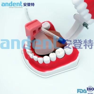 Dental Mouth Prop Opener with Tongue Guard Set