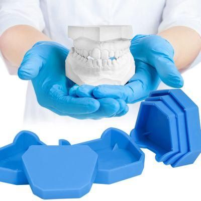 Square Head &amp; Cusp Head Denture Material Impression Tray Base