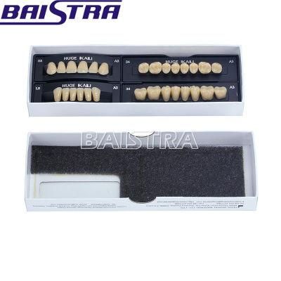 Dental Synthetic Polymer Resin Teeth