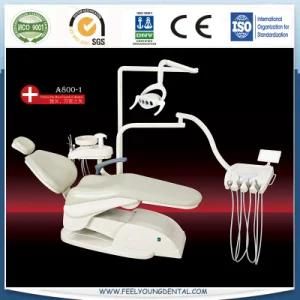 Dental Products