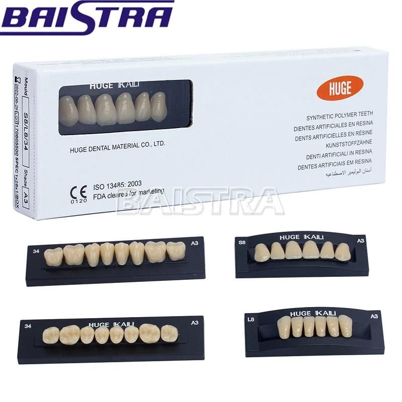 Top Quality Dental Synthetic Polymer Teeth Resin Denture for Sale