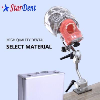 Dental Supply Phantom Head Dental Simulation Unit for Dentist Practicing