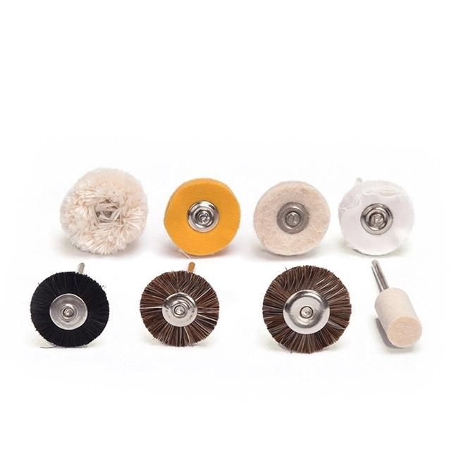 Lk-P21-2 Dental Lab Assorted Brushes Polishing Wheels Tool